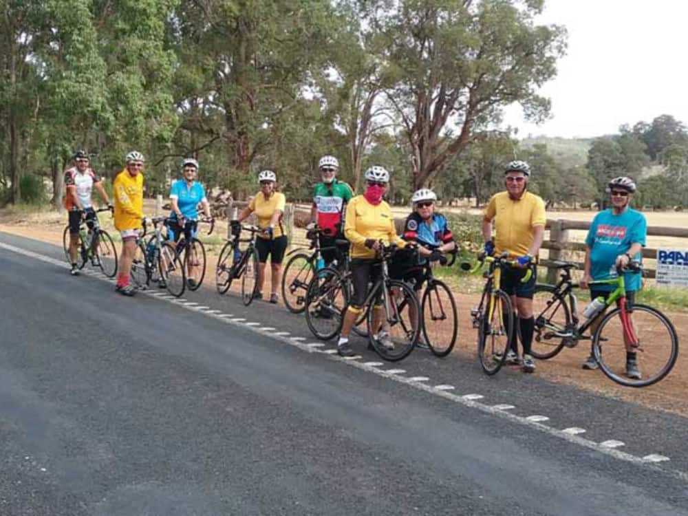 Lined up by the roadside near Boyup Brook